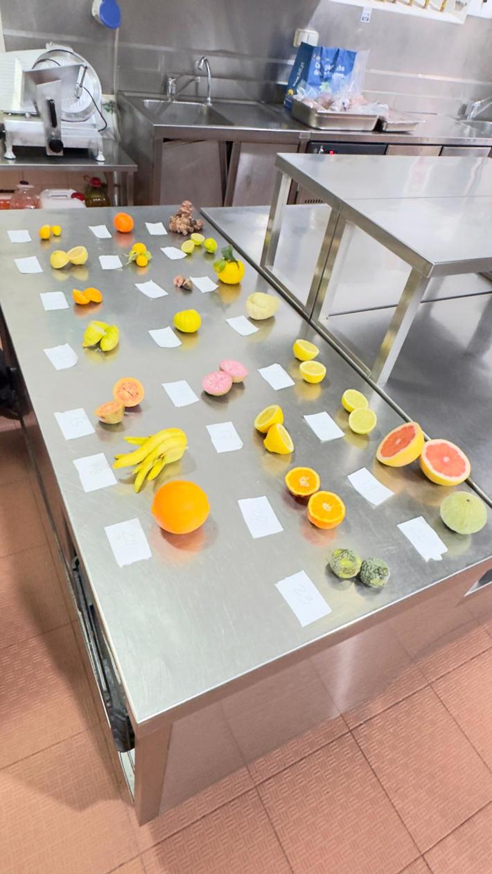 Citrinos, ervas aromáticas e aprendizagem prática na EPVT