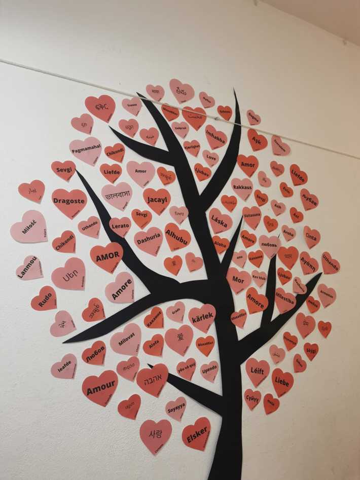 EPVT celebra o amor!